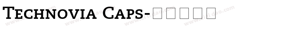 Technovia Caps字体转换